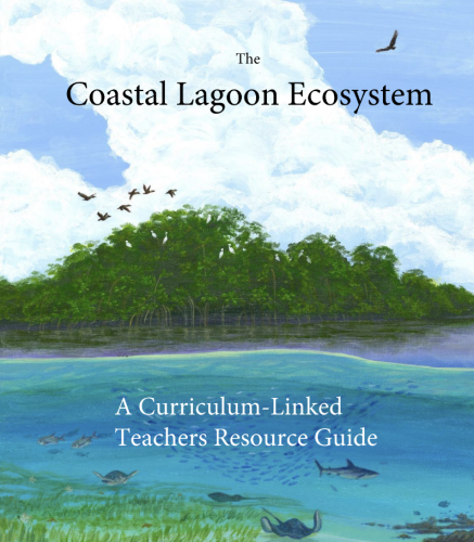 Coastal Education Guide Mangrove Action Project